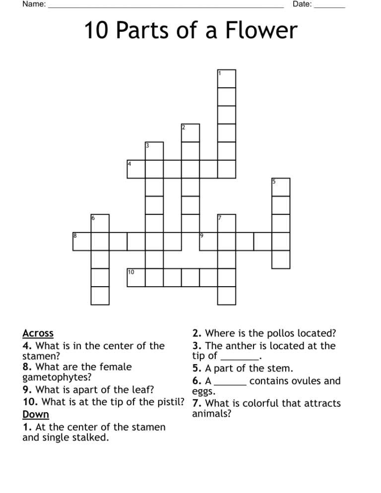 10 Parts Of A Flower Crossword WordMint