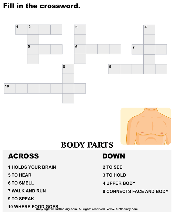 29 Body Parts Crossword Printable Gif Methodsofbusinesssuccess