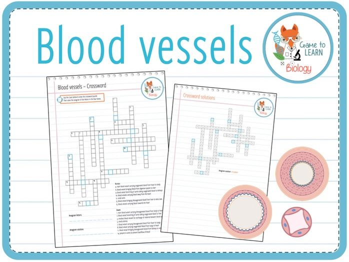 Blood Vessels Crossword Puzzle KS3 KS4 Teaching Resources