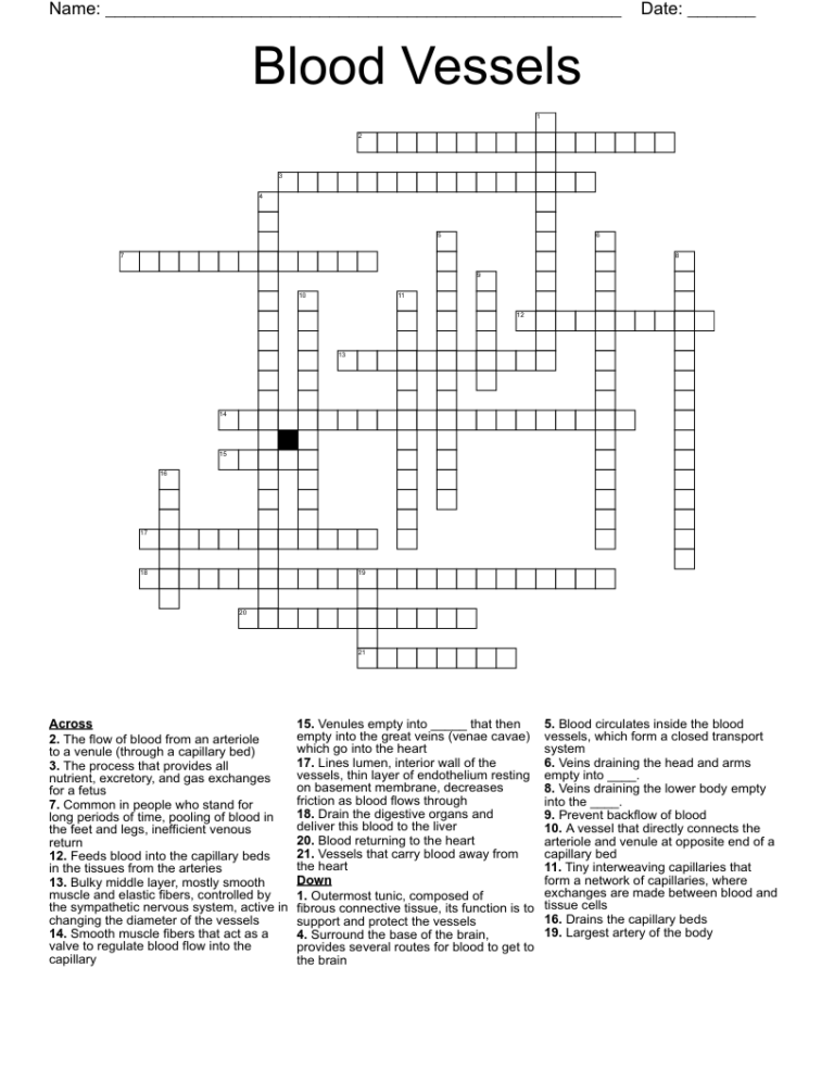 Blood Vessels Crossword WordMint