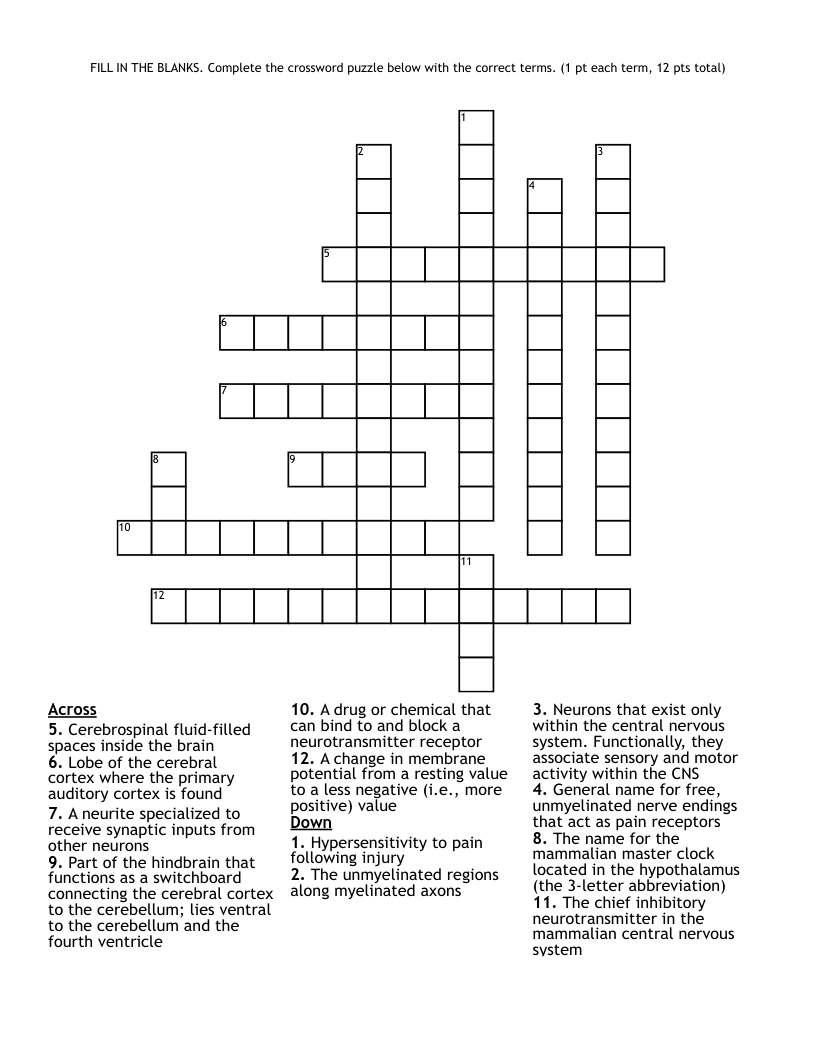 Correct A Text Crossword