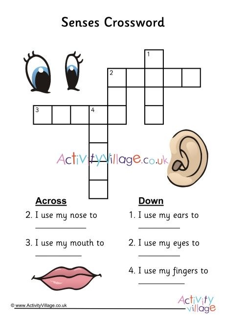 Five Senses Crossword Preschool Science Activities 5 Senses