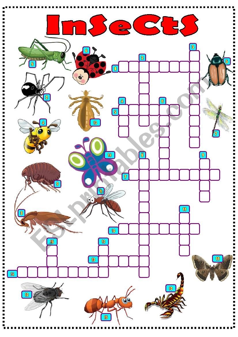 Insects Crossword ESL Worksheet By LILIAAMALIA