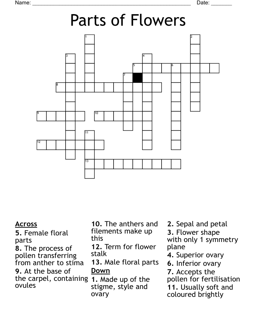 Part Of A Flower Crossword 6 Letters