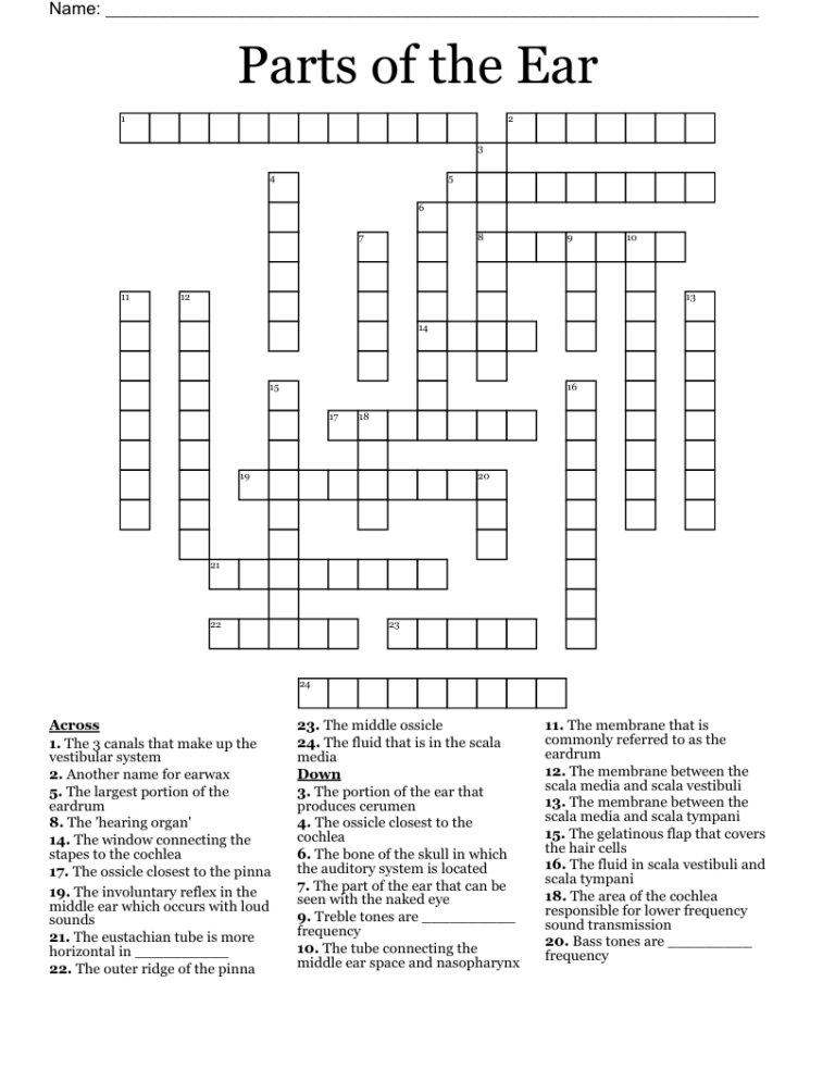 Parts Of The Ear Crossword WordMint