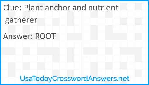 Plant Anchor And Nutrient Gatherer Crossword Clue 