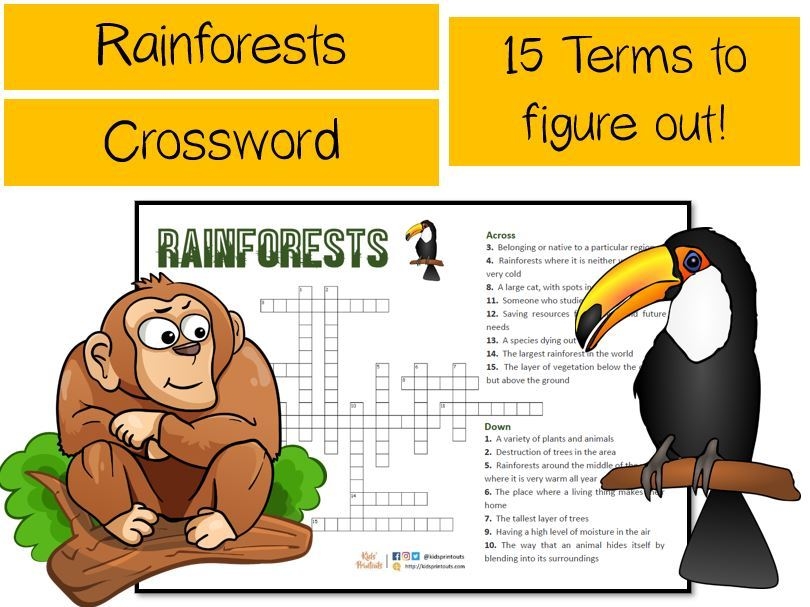 Rainforests Crossword Puzzle 15 Terms To Figure Out Teaching Resources