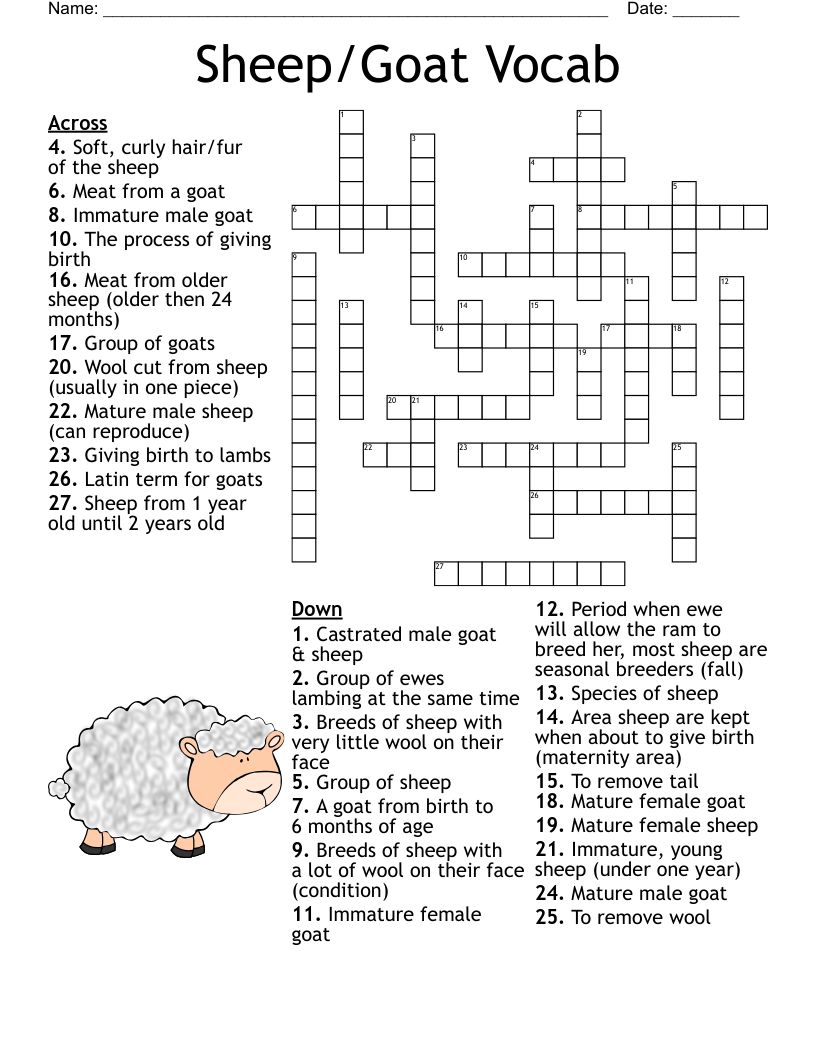 Sheep Crossword WordMint