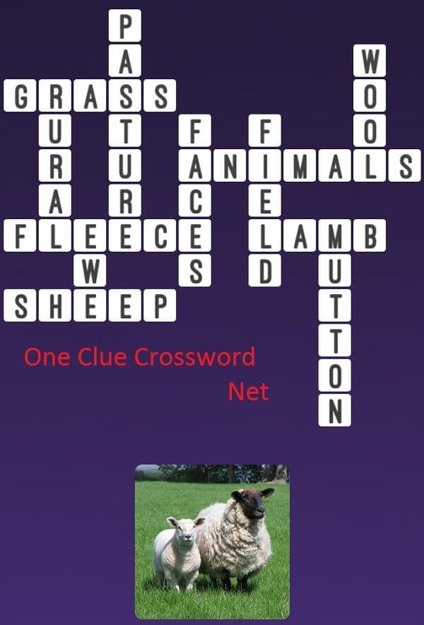 Sheep Get Answers For One Clue Crossword Now