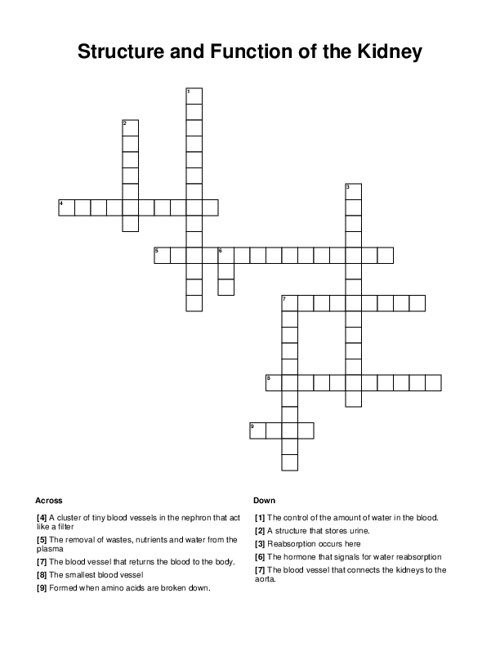 Structure And Function Of The Kidney Crossword Puzzle