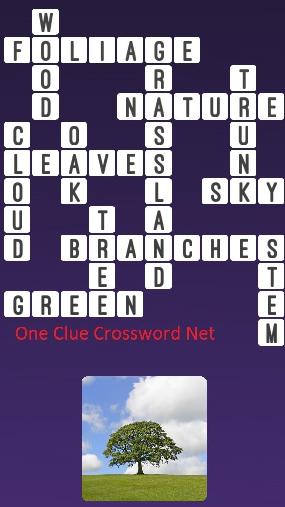 Tree Get Answers For One Clue Crossword Now