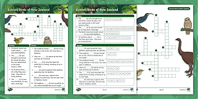 Year 3 4 Extinct New Zealand Birds Crossword Teacher Made