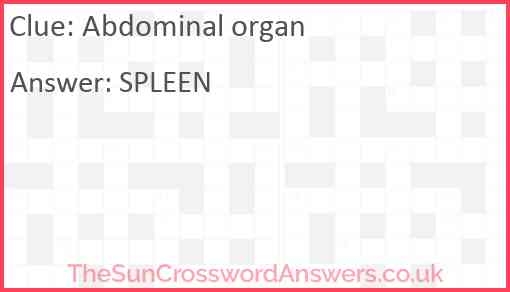 Abdominal Organ Crossword Clue TheSunCrosswordAnswers co uk