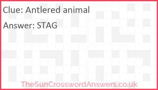 Antlered Animal Crossword Clue TheSunCrosswordAnswers co uk