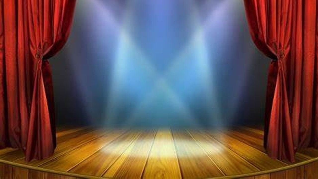 Centre Stage Delight Acting Crossword Clue