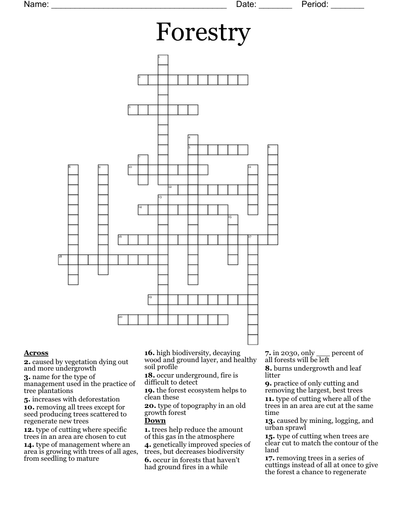 Clearing In A Forest Crossword Thehaircutsresume