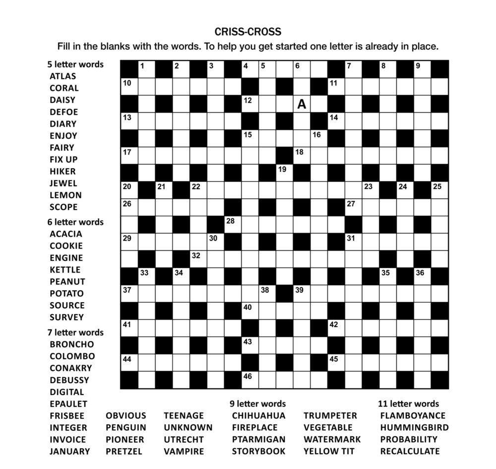 Criss Cross Crossword Puzzle For Teenagers And Adults