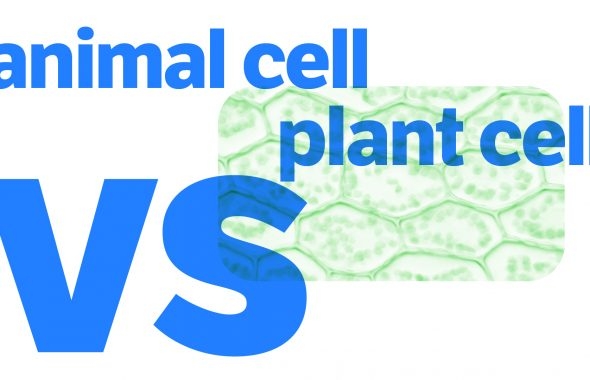 Crossword Clue Brewery Kiln Crossword Solver Dictionary