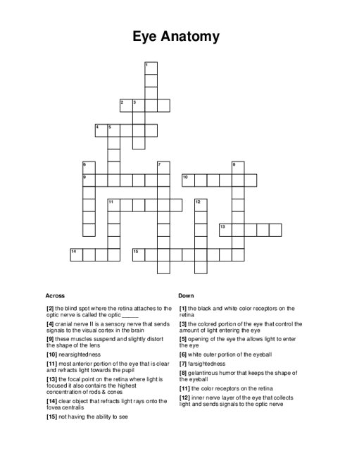 Eye Anatomy Crossword Puzzle