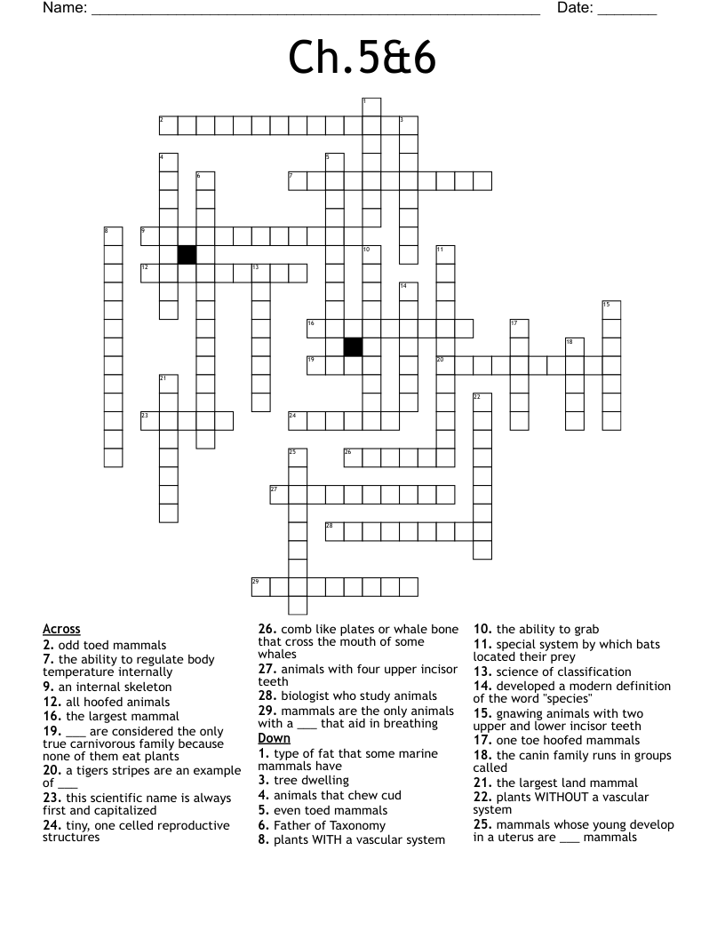 Five Letter Mammals Crossword Prntbl concejomunicipaldechinu gov co
