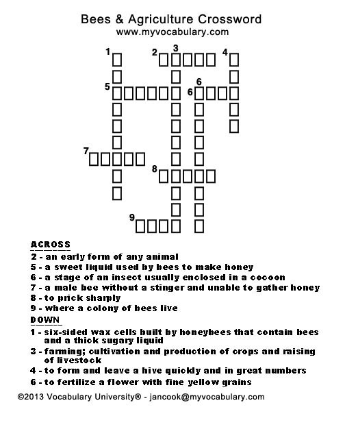 Honey Based Beverage Crossword