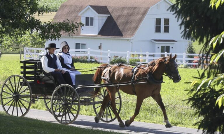 Horse drawn Carriage Crossword Clue Solution The West News