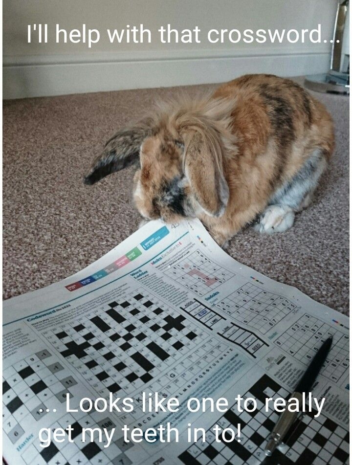  Humphrey I Think She s Bitten Off More Than She Can Chew With This 