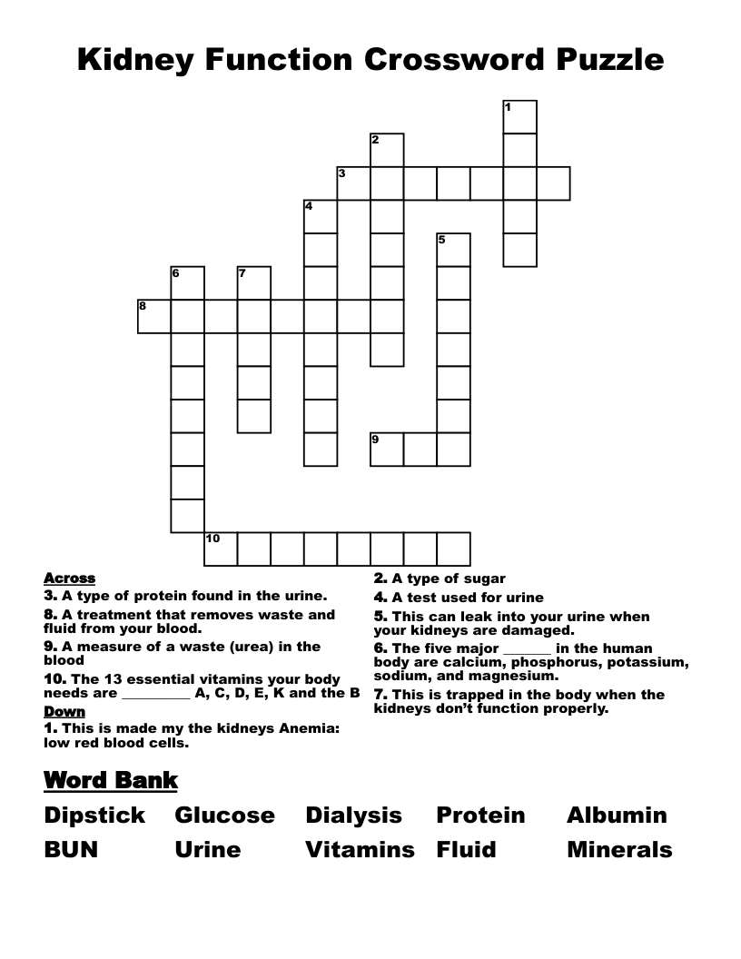 Kidney Function Crossword Puzzle WordMint