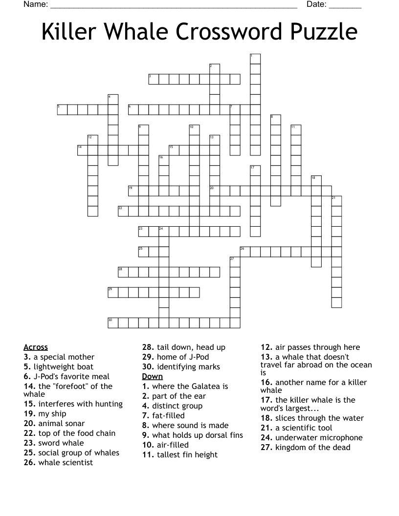 Killer Whale Crossword Puzzle WordMint