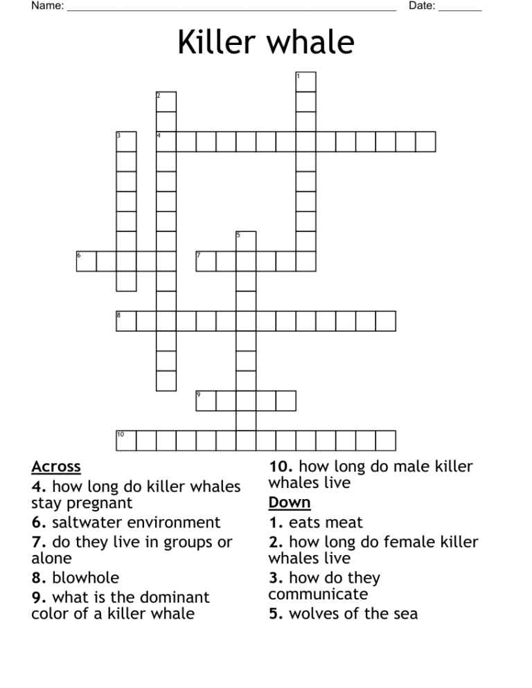 Killer Whale Crossword WordMint