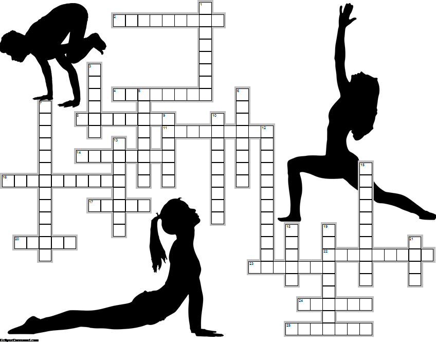 Muscle Anatomy Crossword