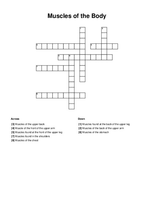 Muscles Of The Body Crossword Puzzle