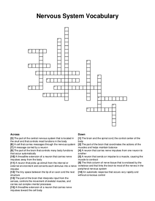 Nervous System Vocabulary Crossword Puzzle