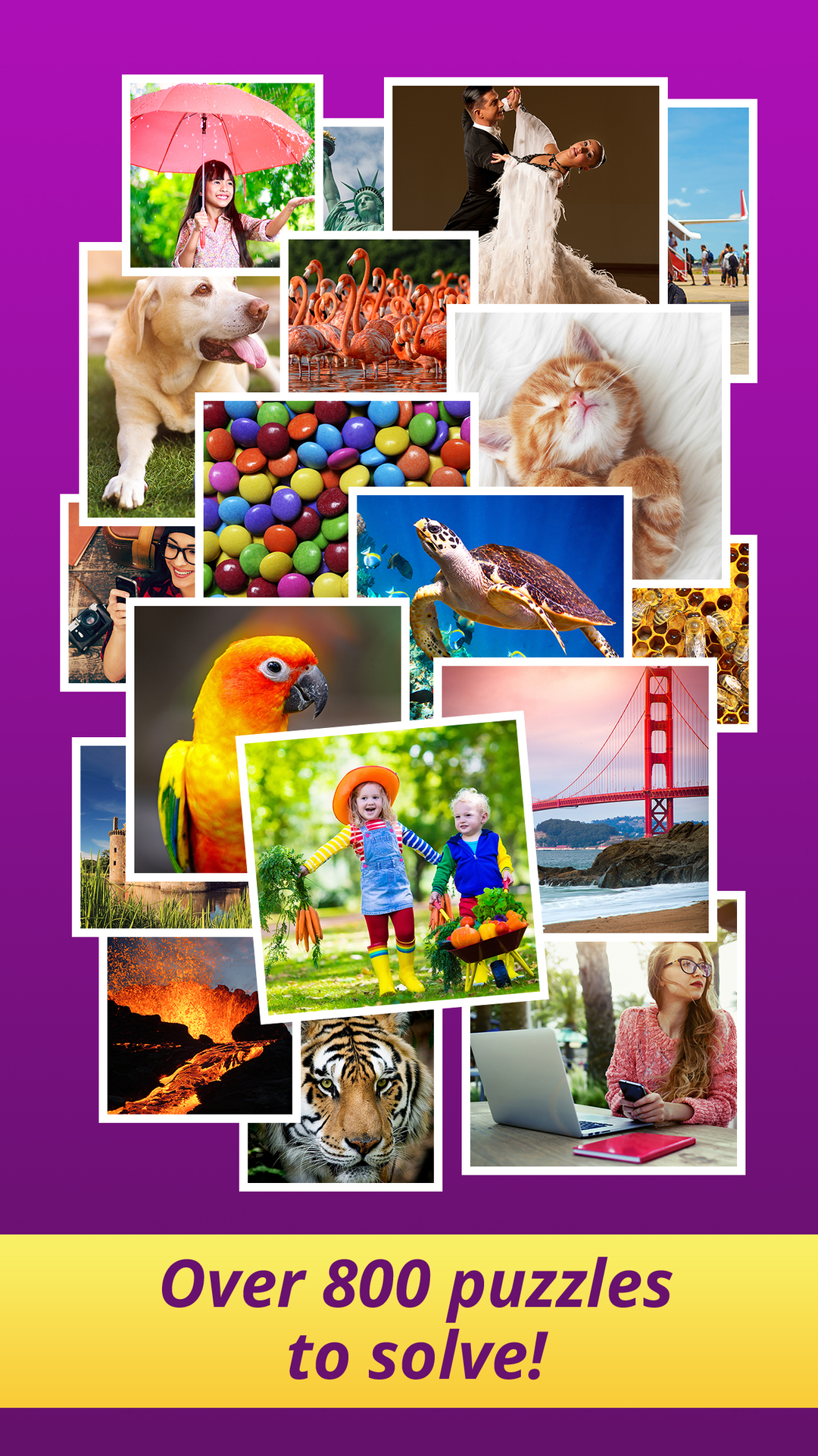 One Clue Crossword 100s Of Great Free Crosswords With Picture Clues