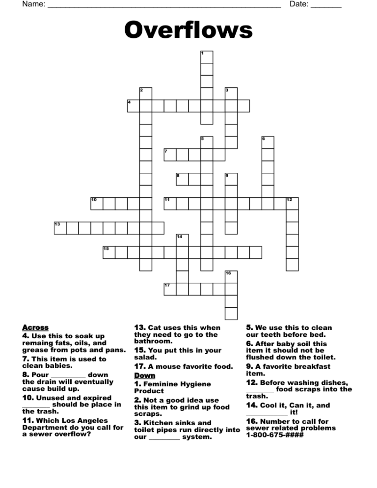 Overflows Crossword WordMint