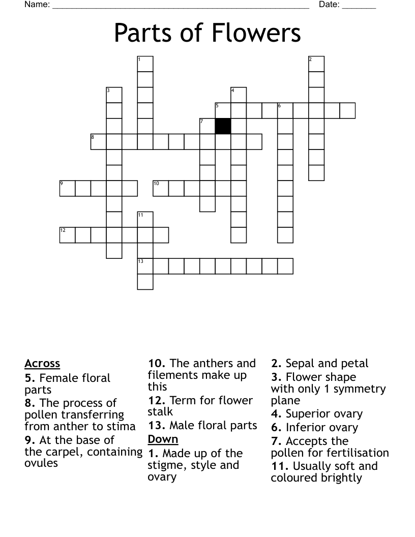 Part Of A Flower Crossword