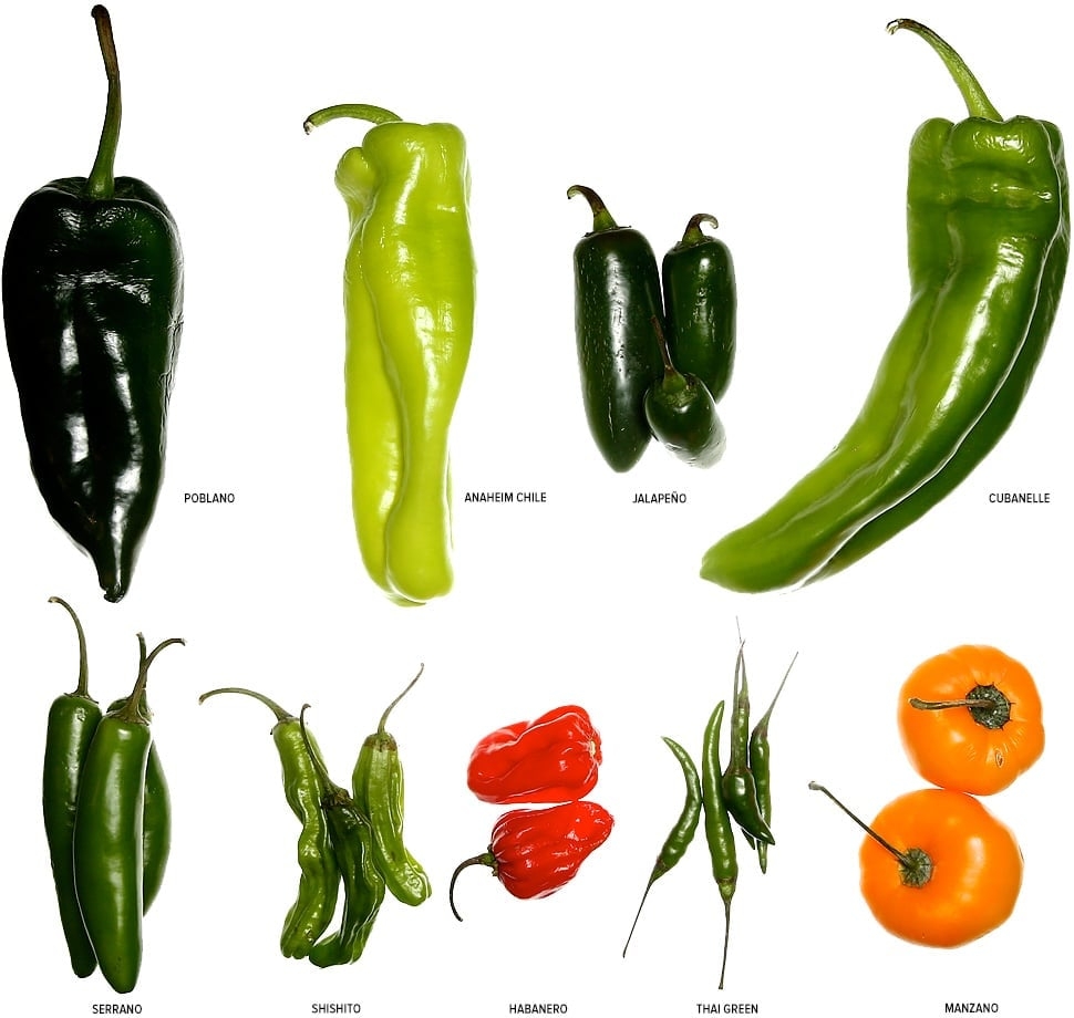 Pasilla Vs Poblano Unraveling The Pepper Puzzle A Comparative Culinary