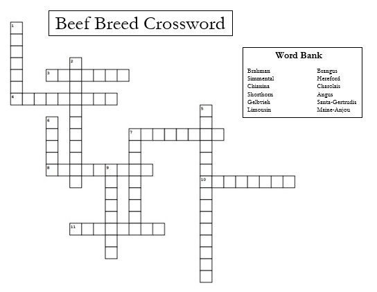 Popular Beef Breeds Crossword Puzzle Skill a thons Quiz Bowls 