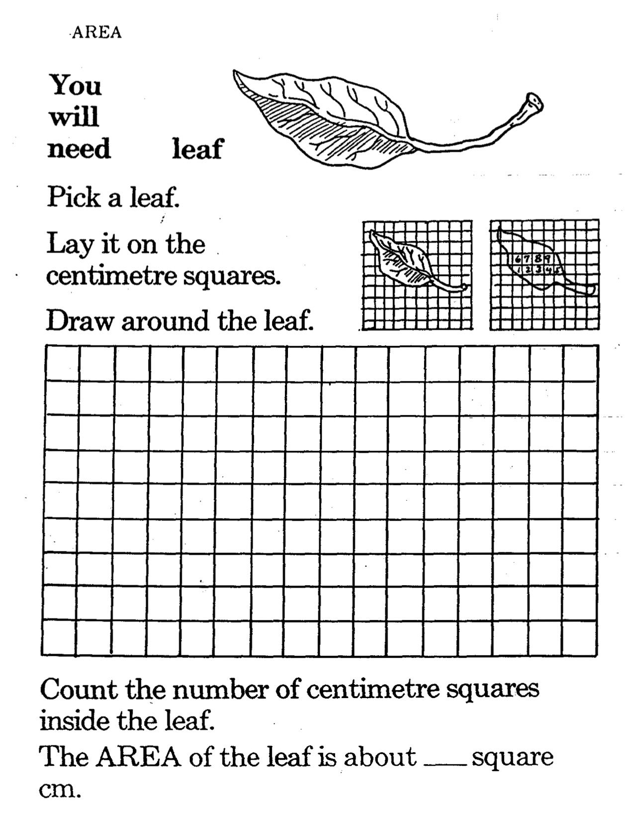 Print Measures Crossword Puzzle