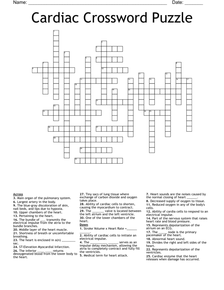 Relating To A Heart Chamber Crossword Promotoroleafblowers