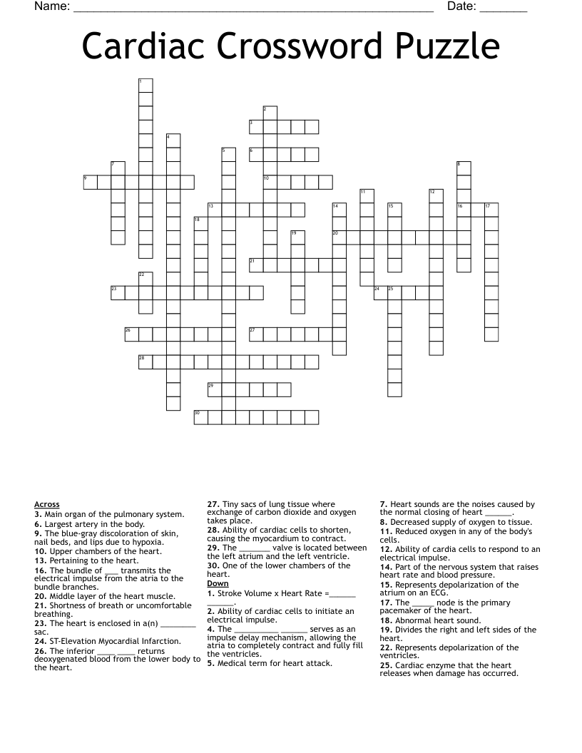 Relating To A Heart Chamber Crossword Promotoroleafblowers