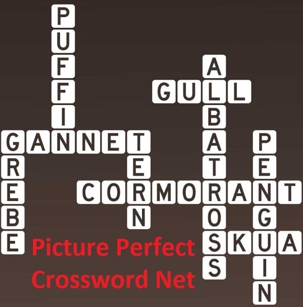 Sea Birds Picture Perfect Crossword