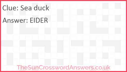 Sea Duck Crossword Clue TheSunCrosswordAnswers co uk