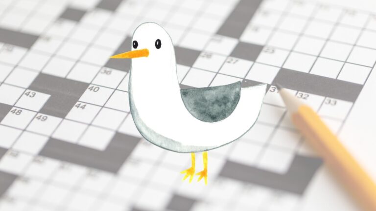 Shore Bird Crossword Clues