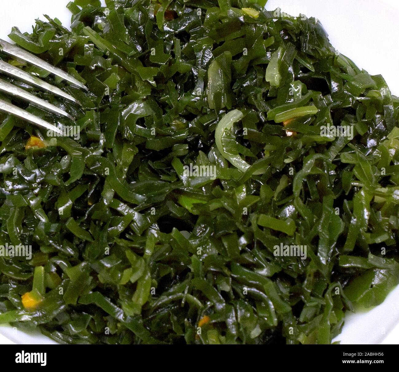 Shredded Cabbage A Versatile Culinary Delight Explored In The NYT