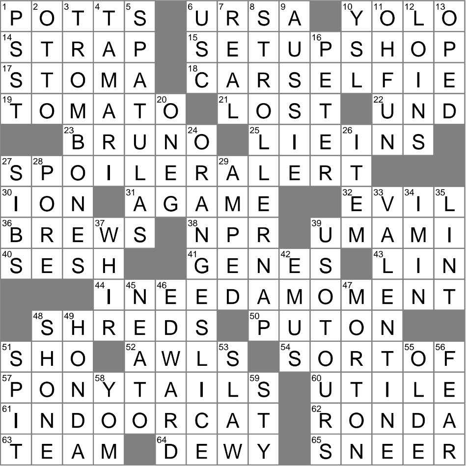 Tears It Up On The Slopes Crossword Clue Archives LAXCrossword