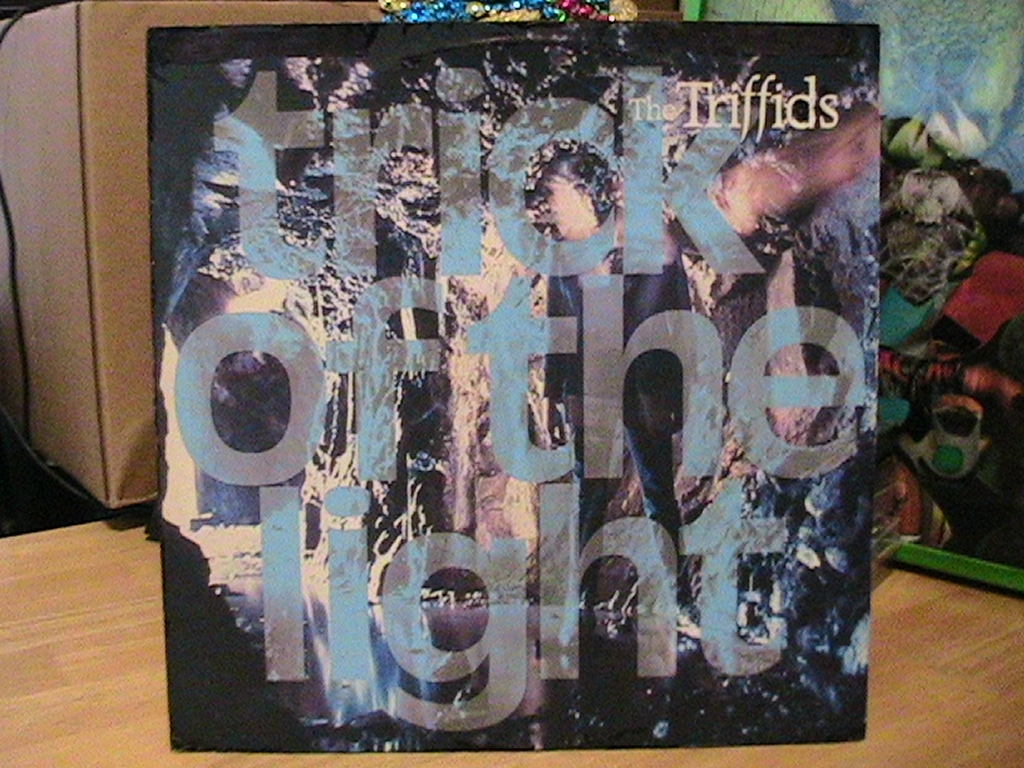 Treeless Plain Below The Equator Crossword