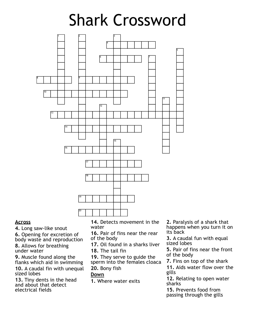 Tropical Fish With Sharp Teeth Crossword Clue Chelsie Aquarium